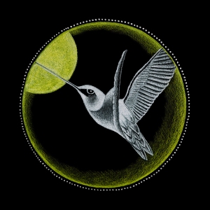 3_Solar Plexus Chakra - Hummingbird
